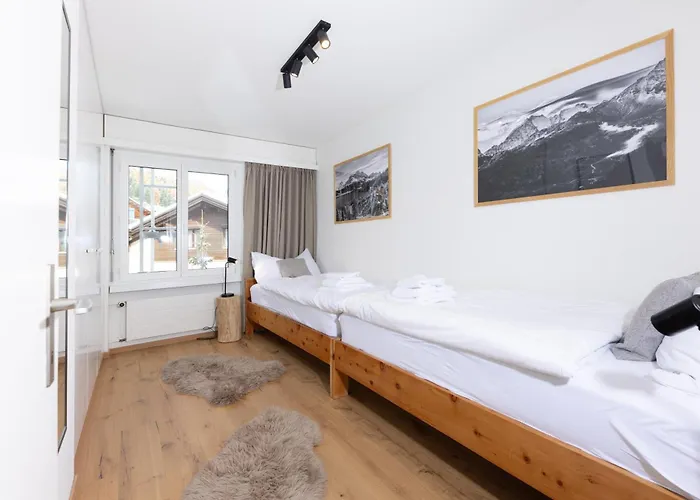 Modern Crossing Facing Piz Rosatsch Apartment St. Moritz